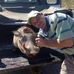 Lee Boucher - Facebook