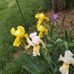 Lee Boden - Facebook