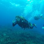 Lee Boynton - @leeboynton - Instagram