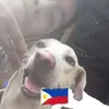 leebozeman5 - @leebozeman5 - TikTok