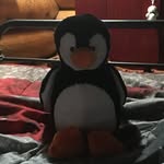 Lee Brakemeyer - @leebrakemeyer - Instagram