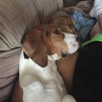 Esmae Lizibith Lee Branham - @esmae_branham_lee - Instagram