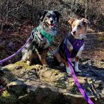 Lee Ann Fraliex Breedlove - @dally.ember - Instagram