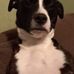 Lee Breen - Facebook