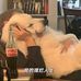 Lee Breeze - Facebook