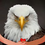 Lee Brinkman - Facebook