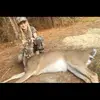 bryleebriscoe12 - @bryleebriscoe12 - TikTok