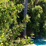 Lee Bristow - @lee.bristow.969 - Instagram