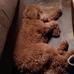 Tucker Lee Brockman - @tucker.brockman - Instagram