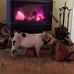 Lee Browning - Facebook