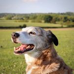 Lee Brownlow - @leebrownlow74 - Instagram