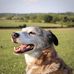 Lee Brownlow - Facebook