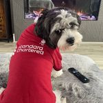 lee Bryson - @leebryson72 - Instagram