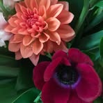 Lee Buchan - Facebook