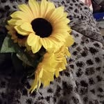 Lee buckner - @larcie2003 - Instagram