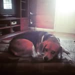 Jake Lee Bundy - @jake_lee_bundy - Instagram