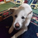 mason Lee bunker - @masonleebunker - Instagram
