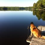 Lee Bunnell - @lee.bunnell.10 - Instagram
