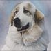 Lee Bunting - Facebook