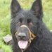Lee Bunting - Facebook