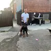 Lee Bunting - @leebunting1 - TikTok
