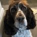 Lee Burden - Facebook