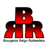 BR Rottweilers - @leeburgess2 - TikTok