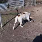 Gina. - @lee.burger.560 - Instagram
