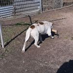 Gina. - @lee.burger.560 - Instagram