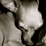 Lee Burger - @burgerlee3333 - Instagram