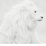Lee Burger - @lee.burger.509 - Instagram