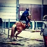 Ava Busse - @leebusse - Instagram