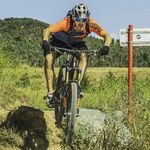 Lee Buss - @lee_buss - Instagram