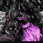 Dakota Lee Calhoun - @shadow_fang15 - Instagram