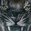 Lee Calvert - @lee.calvert - TikTok
