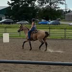 Everlee - @everleecanfield - Instagram