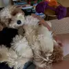 jackieleecanfield - @jackieleecanfield - TikTok