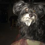 Lee Carden - @biglee432 - Instagram