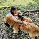 Lee Carmen - @carmen1102_ - Instagram
