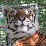 Tony Lee Carnes - @tlctcb70 - Instagram