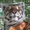 tonyleecarnes - @tonyleecarnes - TikTok