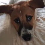 Lee Carrington - @leegolf18 - Instagram