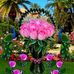 Lee Castillo - Facebook