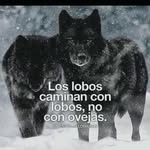 Lee Castillo - @leecastillo49 - Instagram