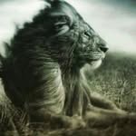 leecato11 - @leecato11 - Instagram