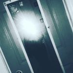 💕railee💕 - @railee.cattell - Instagram