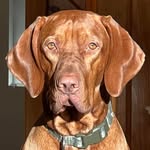 Lee Cauley - @lcauley332 - Instagram