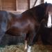 Lee Cawley - Facebook