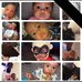 Lee Chambers - Facebook