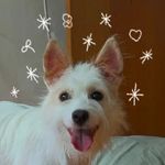 이배추 - @leebaechau - Instagram